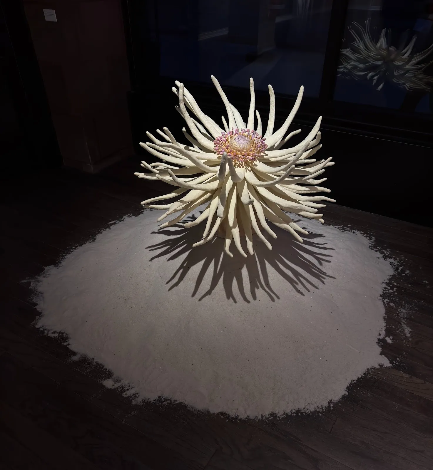 A white, spiny flower seems to have a spotlight upon it, standing stark against a black background. The flower has many discrete spindles and a yellow/pink center.