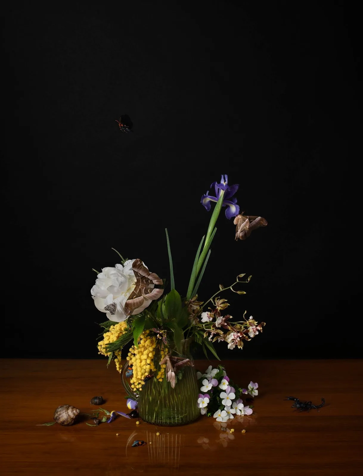 Still life of butterfly flowers vase and turtle shell in front of dark background on a wooden table, the arrangement 2024 by Jasmina Cibic, artwork.