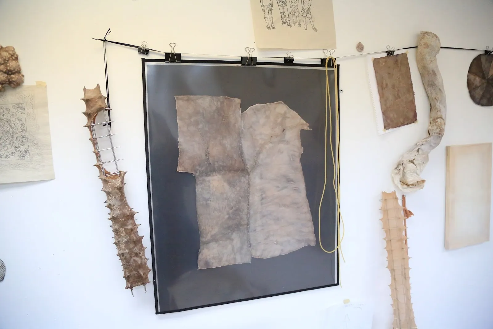 A white wall features a variety of works and objects pinned and hung to it: a spine-like sculpture, a photograph of skin-like biomaterial stitched together, sketches, and other objects mostly of flesh colors.