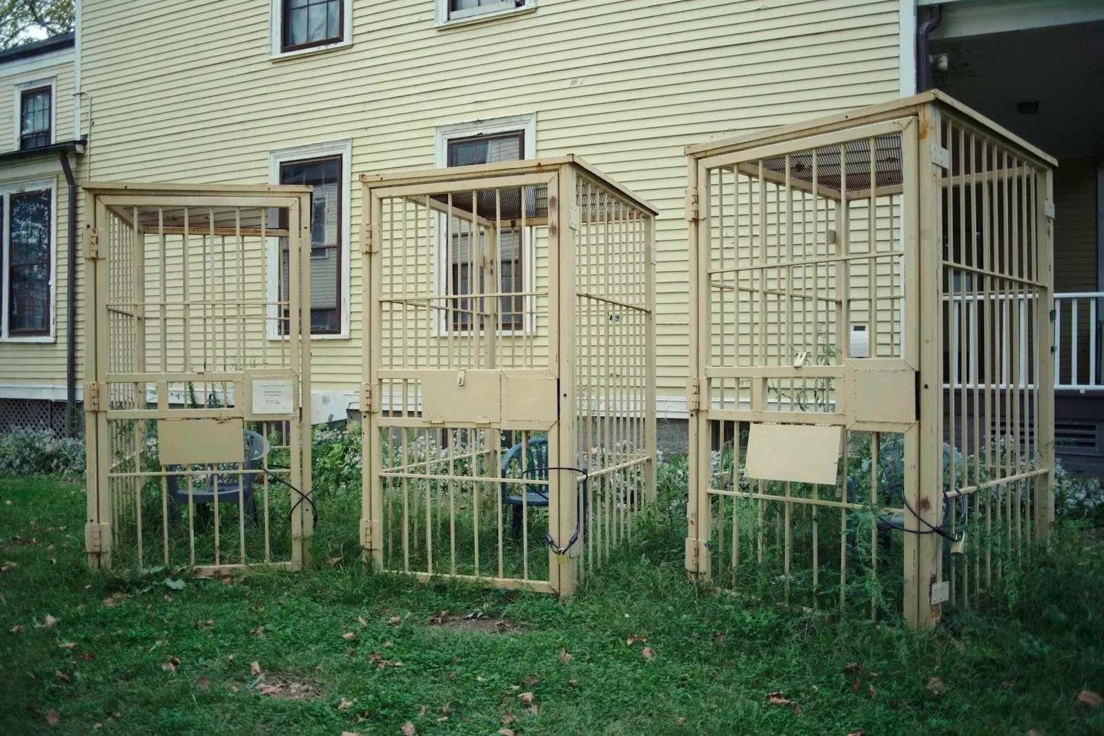 Outside a house-like structure, three jail cells—boxes of metal bars—sit on an overgrown patch of grass. The metal bars are beige and rusty. Each cell contains a green plastic chair inside.