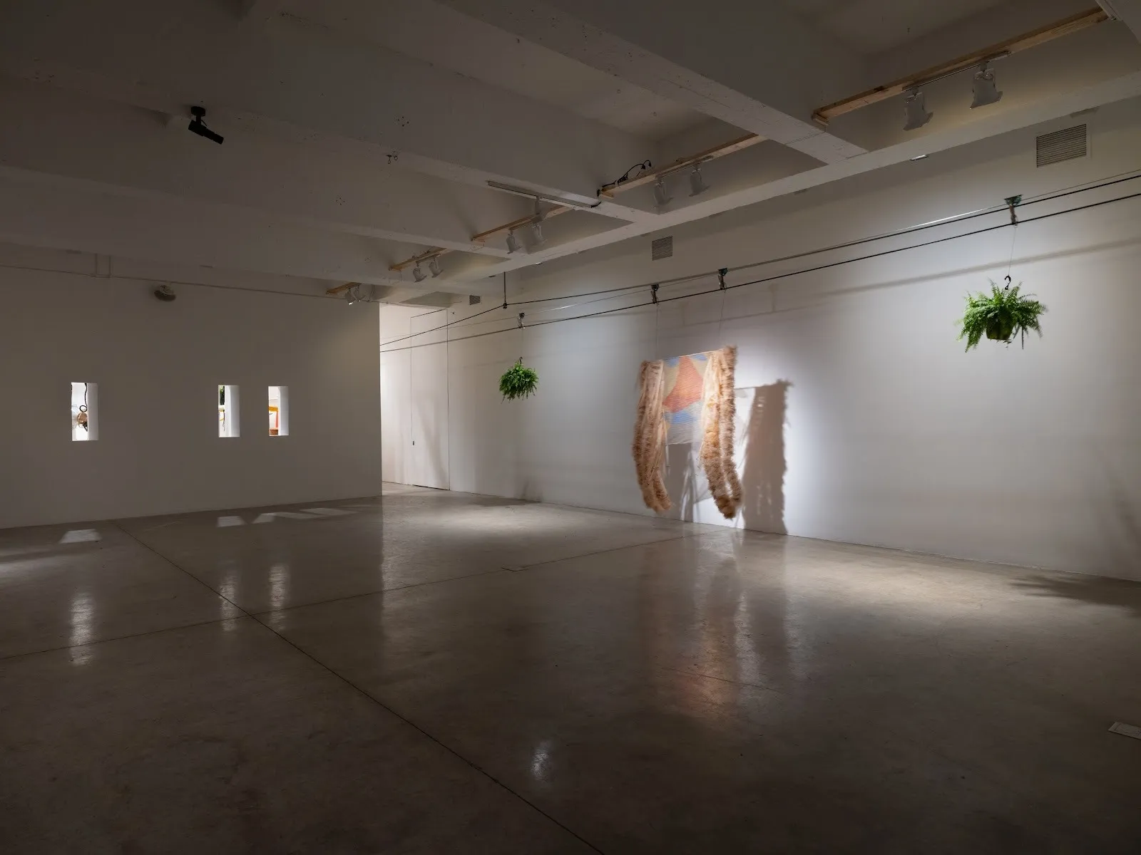 A dimly lit, all-white space with small windows in the walls houses muliple hanging works supported by cables close to the ceiling. The works appear as potted plants and a gauzy, tan fabric piece.