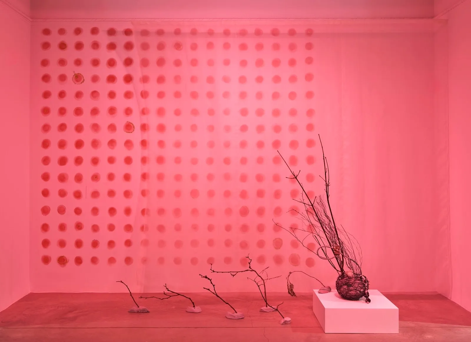 An installation bathed in pink light, with a wall covered in evenly spaced red circular marks, scattered bare branches on the floor, and a woven organic sculpture on a white plinth.
