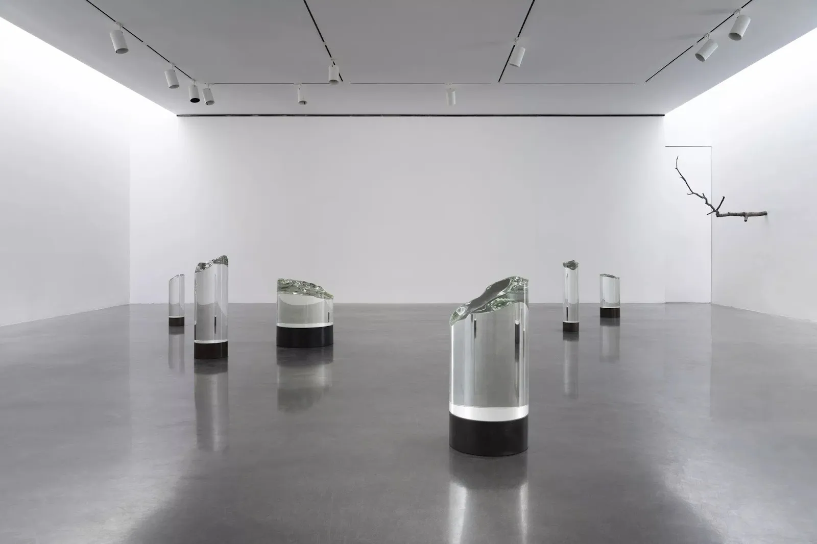 Clear, glass-like cylinders stand like short columns in a gallery room. Their tops are jagged, organically broken. In the right back, a tree branch shape sprouts from the wall, extending into the space.