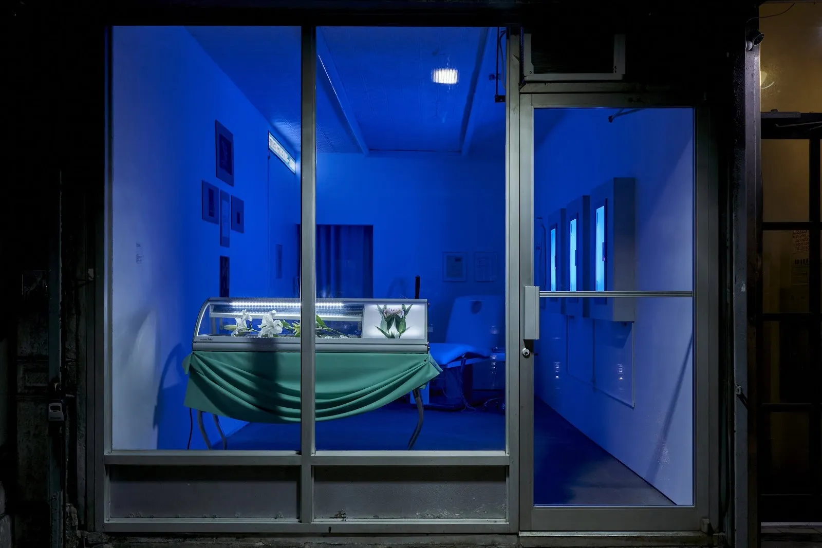 Installation view from Lilies Into the Void by Jo Shane. Photo by Kunning Huang, courtesy of Blade Study.