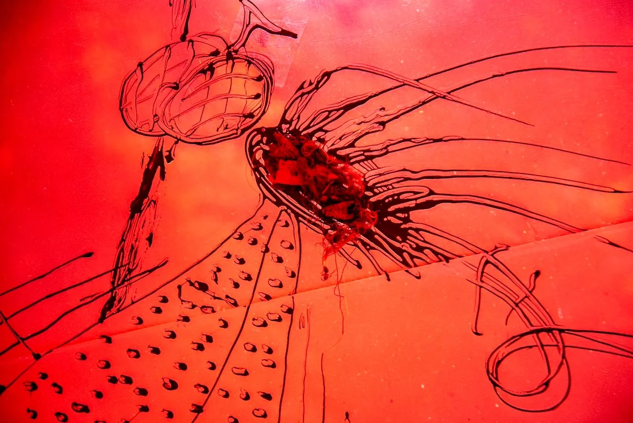 An abstract, multimedia rendering of a fly features distorted limbs. The entire painting is washed in orange-red.