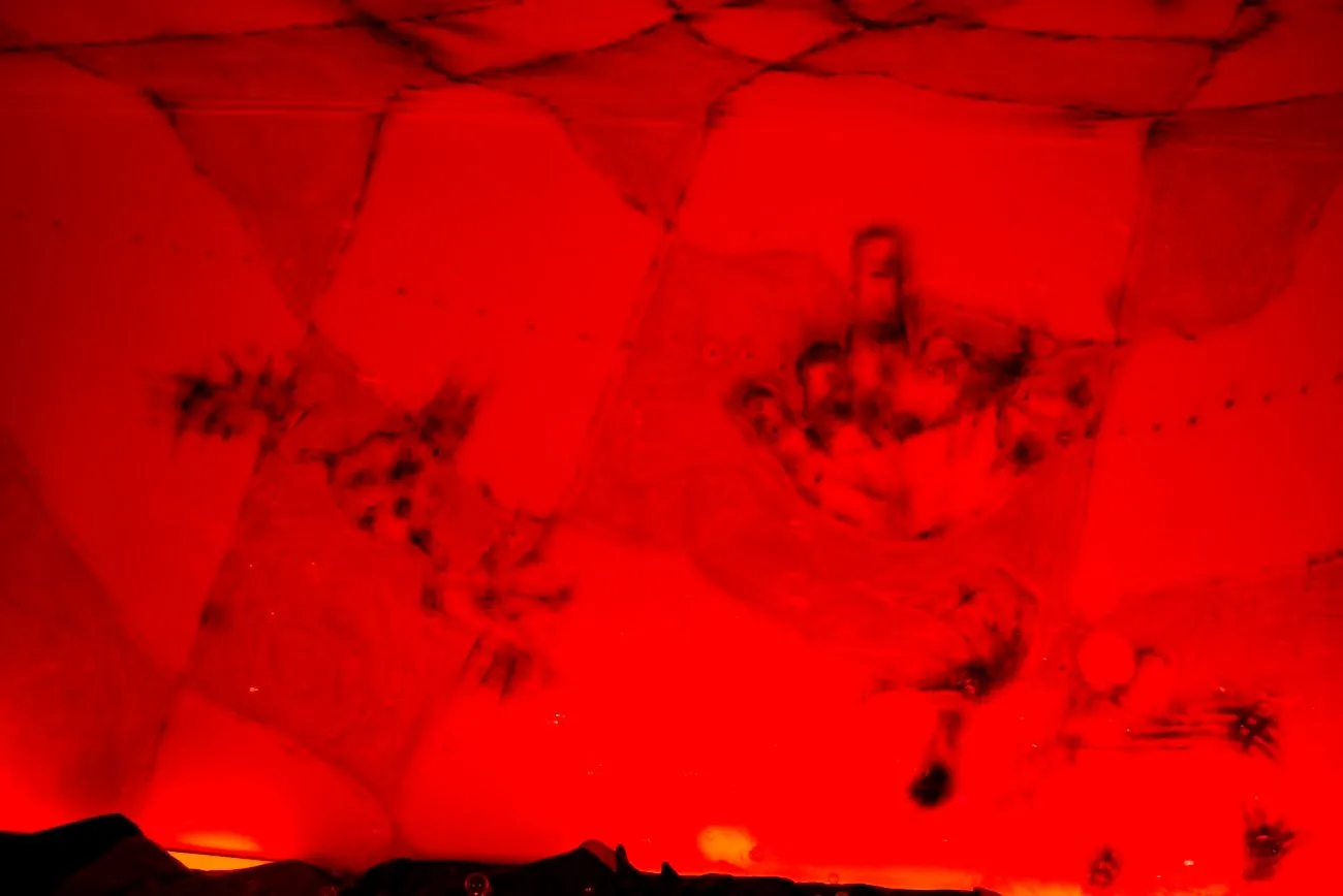 A patchwork design features abstract dark splotches and the shape of a middle finger. The patchwork seems adhered to a room's ceilings and walls and is bathed in red light.