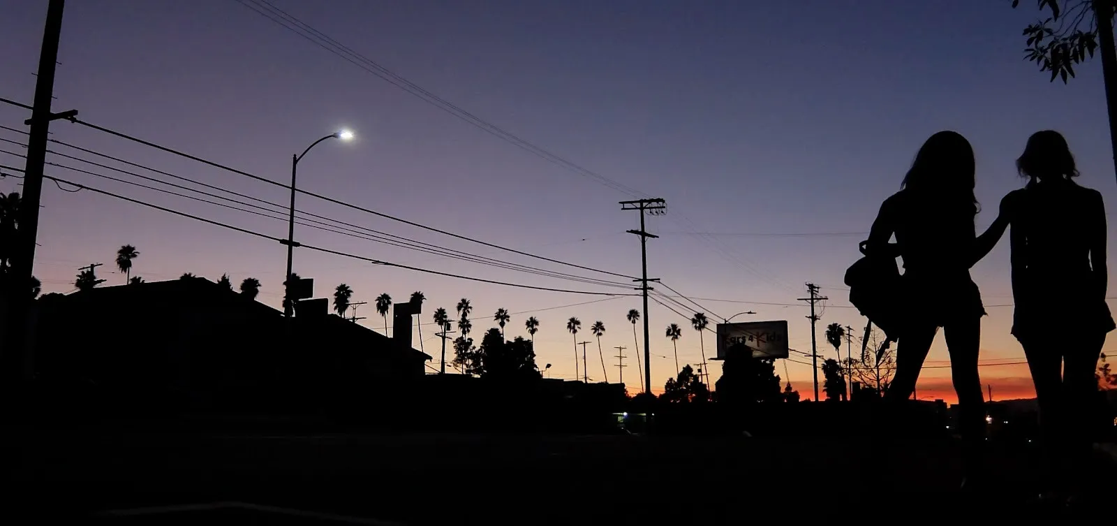 Against a dusky sky, the silhouette of a city features power lines, street lights, palm trees, and buildings. To the far right of the shot, the silhouette of two women can be seen in the foreground.