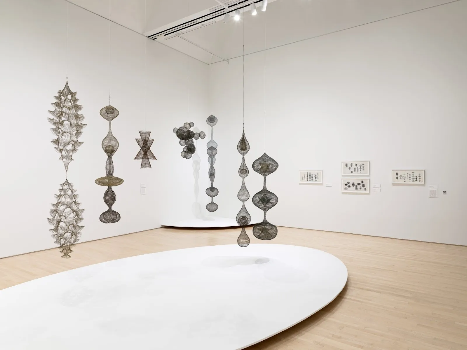 To the right of a a white museum room, many different brown-grey sculptures hang from the ceiling. The sculptures are transparent and bulbous in form, but also lengthy and vertical. On the left side, four different 2-D works hang on the museum wall.