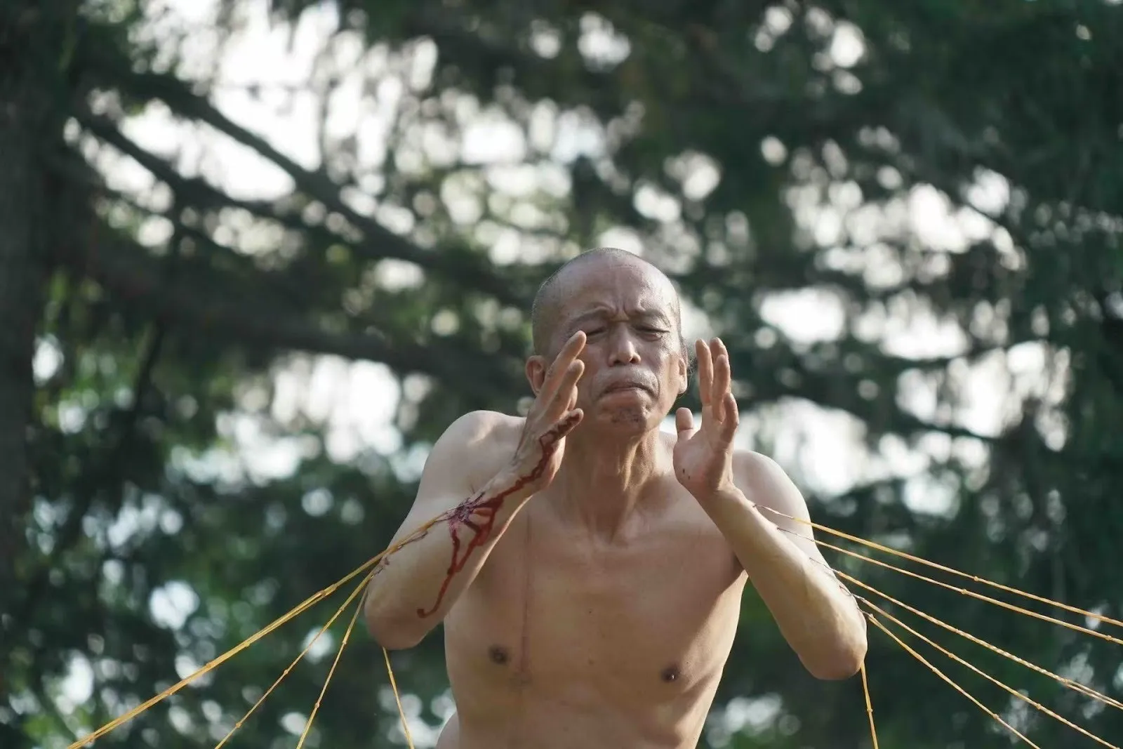 A close-up of a performer with strings attached to his arms, his face tense and eyes closed, in front of a backdrop of trees.