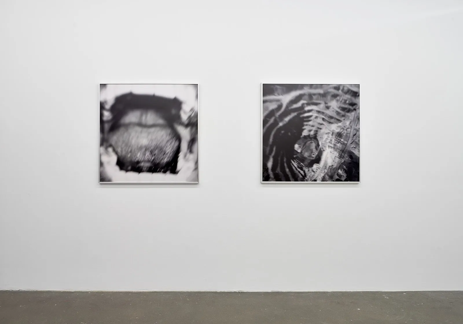 Two black and white, silver-framed photographs of the same size hang next to each other on a white gallery wall. The left photo shows a blurry photo of an open mouth. The right photo features some abstracted, ribbed structure.