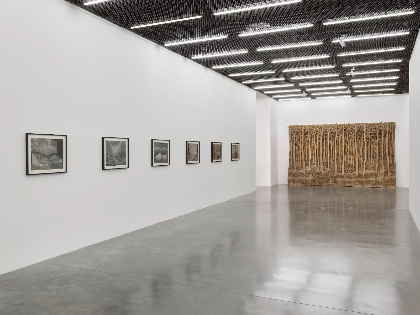 In a long gallery corridor, a series of six monochrome works hang in a row on the left wall. A wall piece of a forest made from wood takes up most of the back wall.