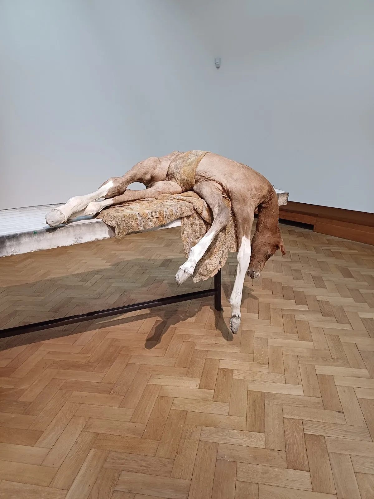 On a worn white counter, a horse-like sculpture hangs lifelessly off the side, its legs and head drooping to the floor.