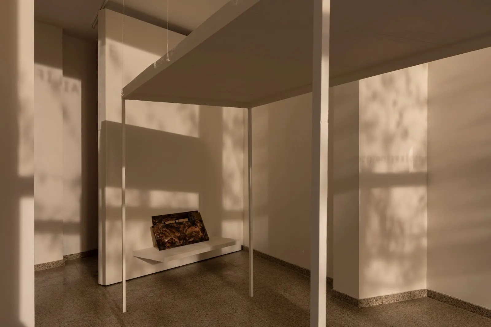 The same installation viewed in warm, late-afternoon light, with soft shadows of windowpanes and tree branches cast across the gallery walls and floor.