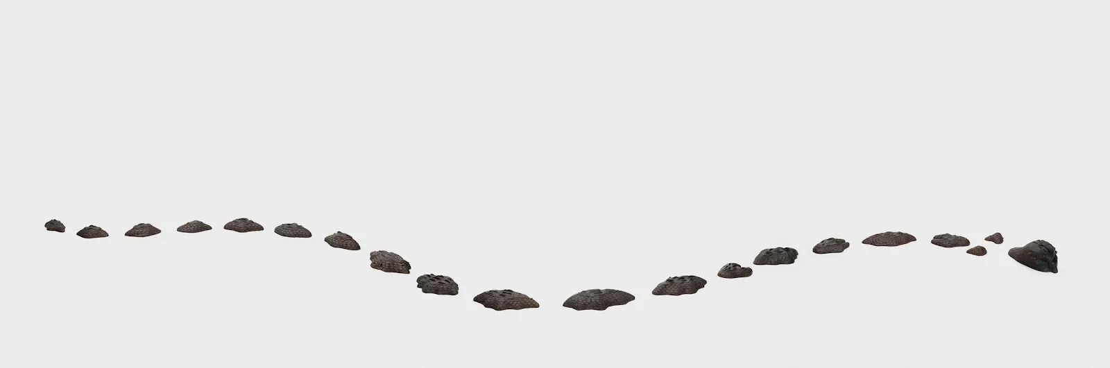In a white space, similar sized black lumps that appear like dirt are arranged in an oscillating, wavy line, like a snake.