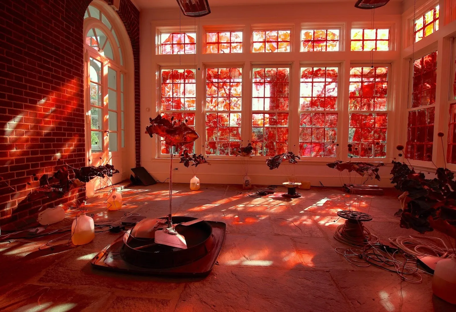 Sunlit installation room glowing in red hues, with translucent red panels covering the windows and sculptural plant-like forms arranged across the stone floor.