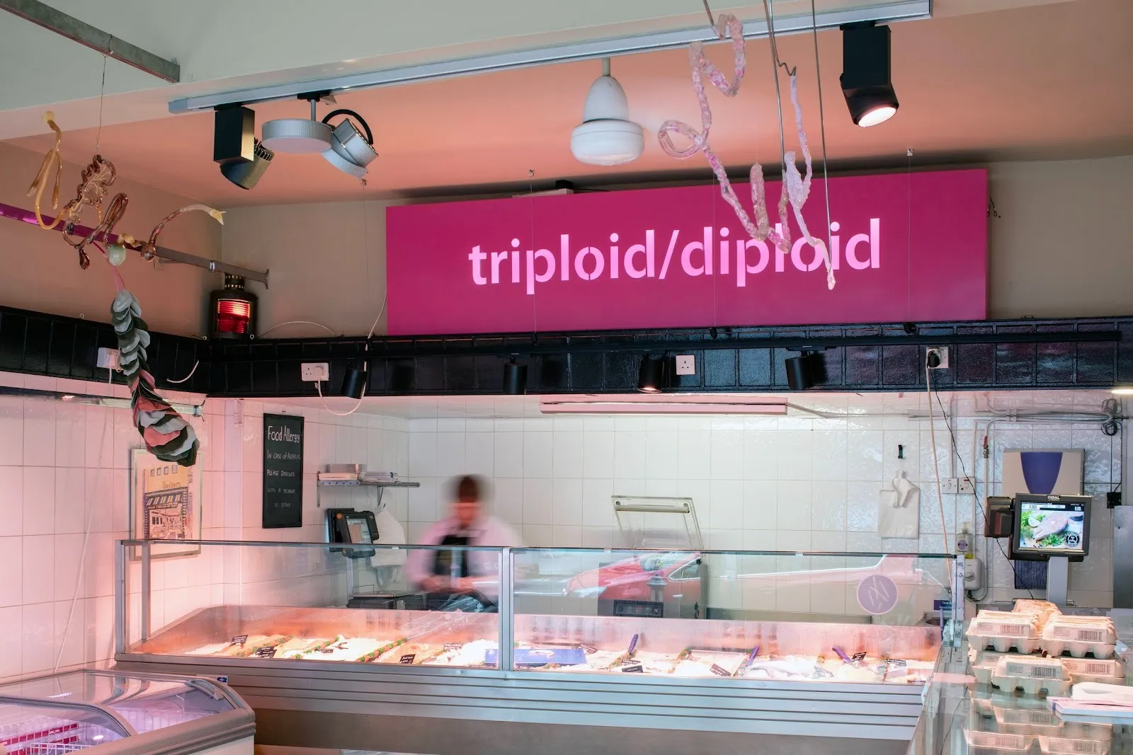 A butcher shop-like space features white tiles and a display case featuring unidentifiable items. Sinewy, intestinal coils hang from the thin ceiling beams. A large, pink sign reads "triploid/diploid" overhead an aproned figure mid-movement.