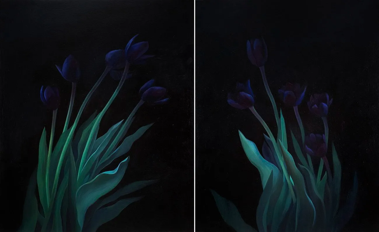 Diptych of dark tulips with green leaves emerging from a black background.