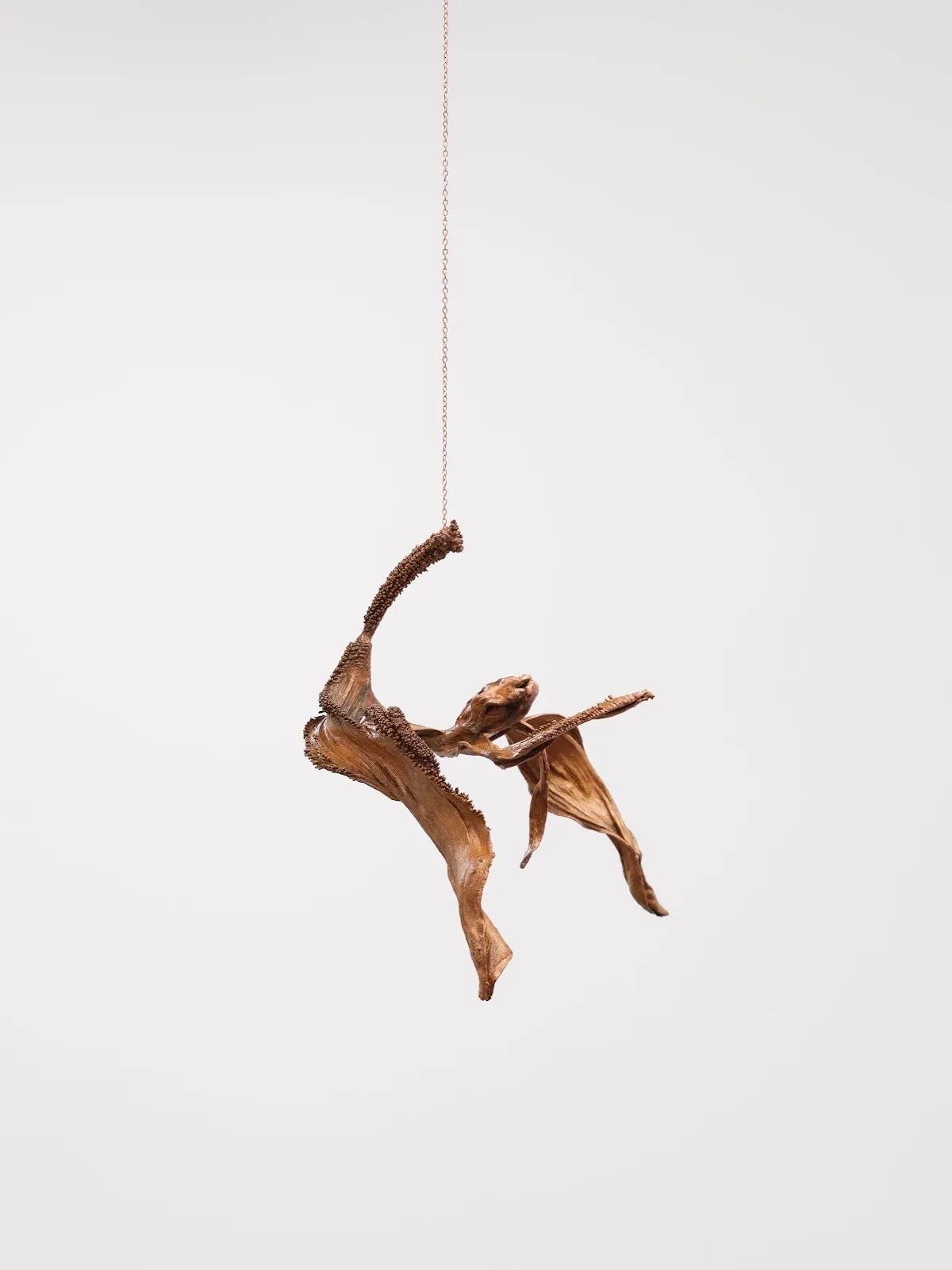 A sculpture, made of seemingly organic material in the shape of a dried plant, hands from a thin brown chain.