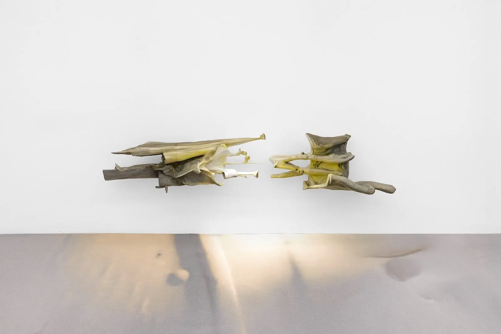 Wall-mounted sculptural forms in muted yellow and gray tones, split into two parts and hovering slightly apart against a white wall.