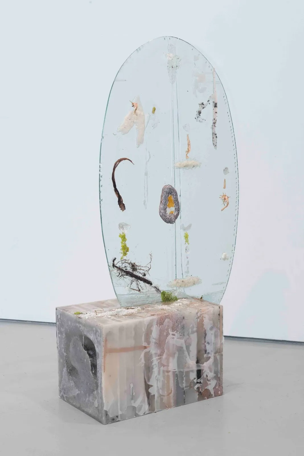 A large, rectangular block of salt rests on a concrete floor. Wedged perpendicularly into the block is a large, oval plane of glass with plant and moss parts embedded into the surface.