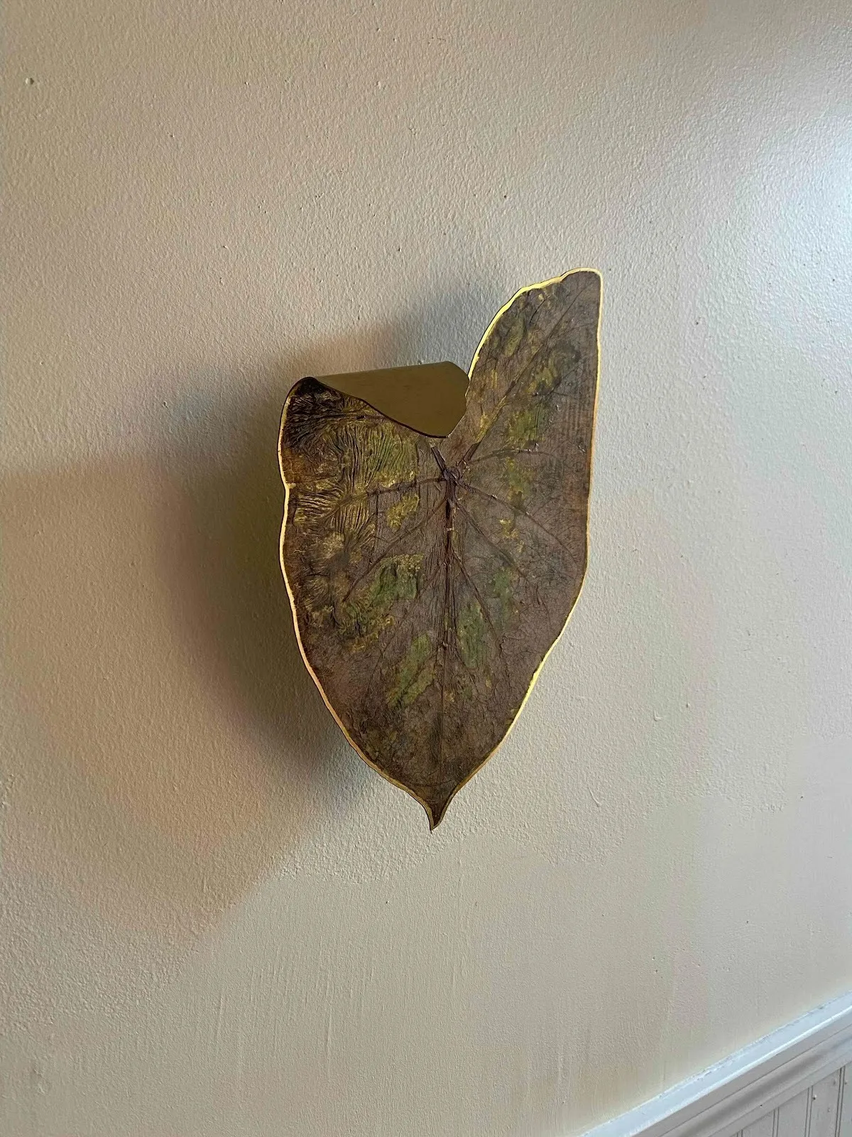 Mounted to a wall, a large heart-shaped leaf has been fused to a thin sheet of brass with its edges gilded. The left upper part of the leaf folds downwards.