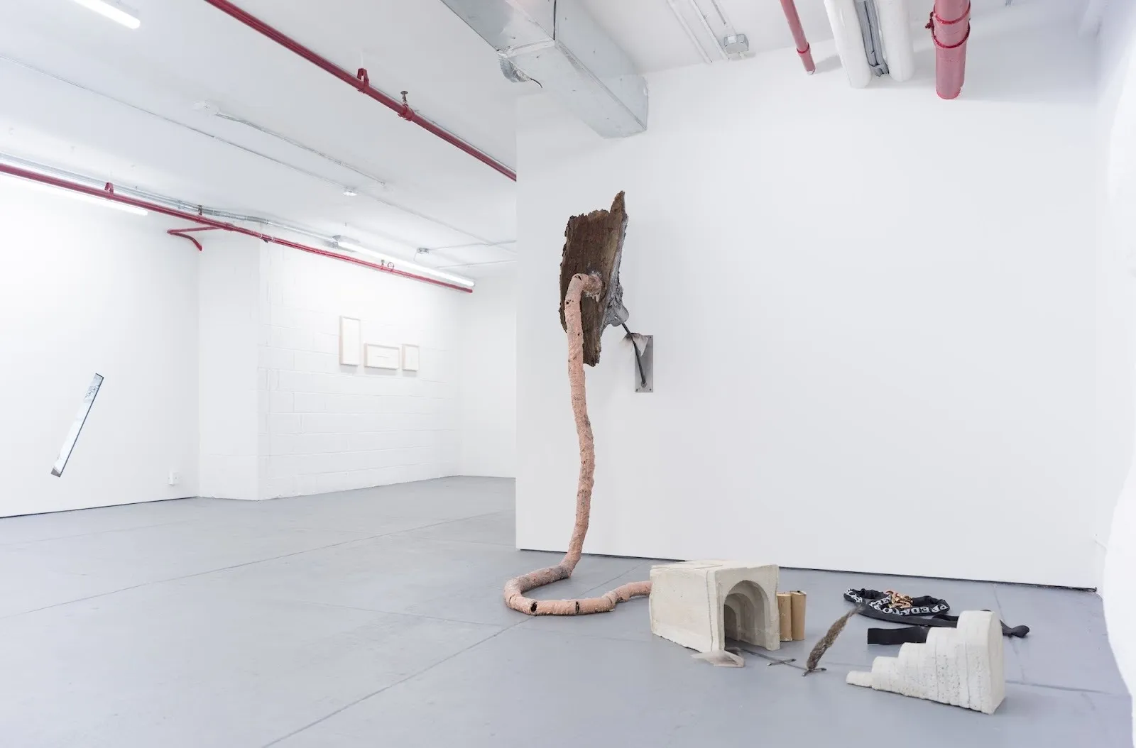 Installation view of gallery with bark-covered wall sculpture and long tail-like form extending to the floor among scattered objects.