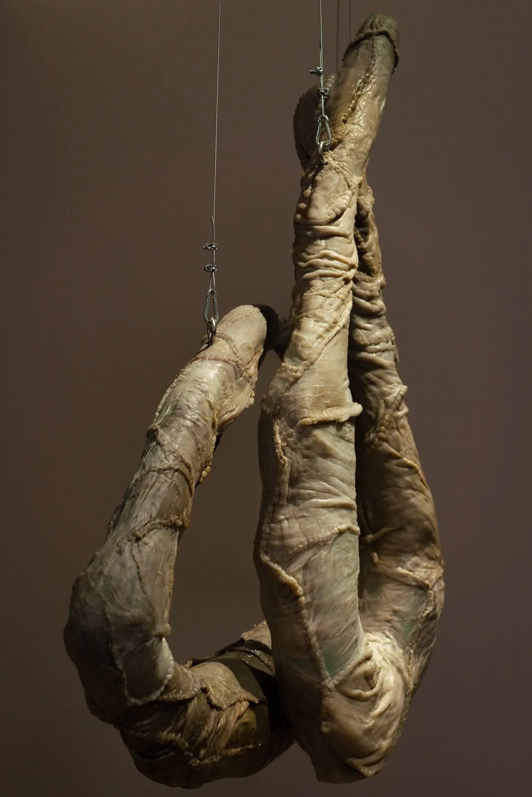 Detail view of the hanging sculpture showing tubular, skin-like forms stitched together and suspended by metal hooks and cables.