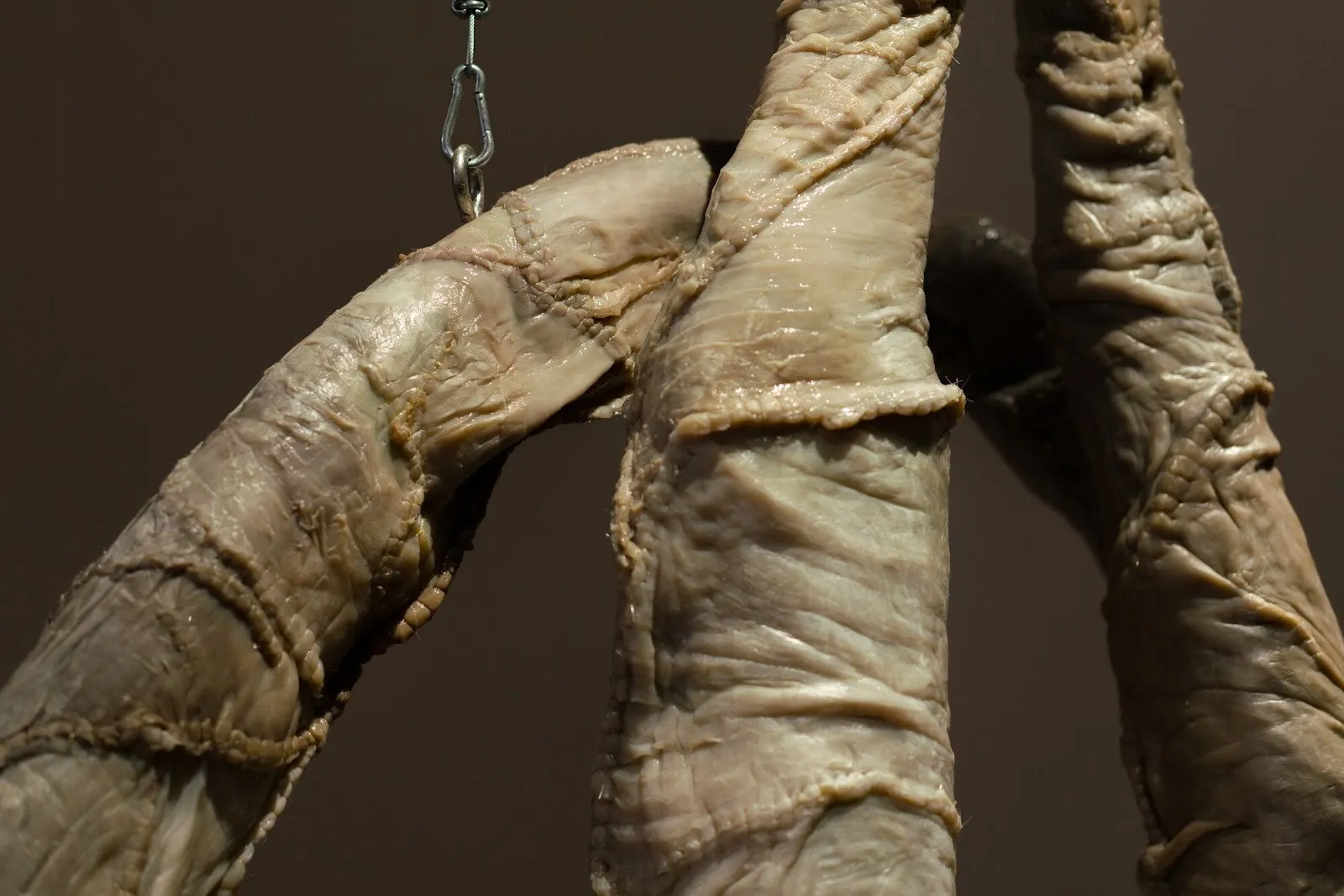 Close-up of stitched, fleshy sculptural surface with wrinkled, skin-like material and visible seams.