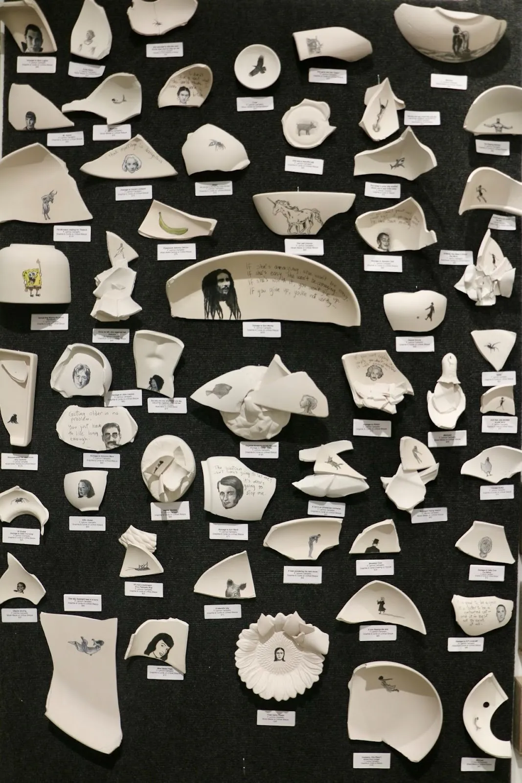 Broken ceramic shards mounted on a wall, each illustrated with small drawings and labeled captions.