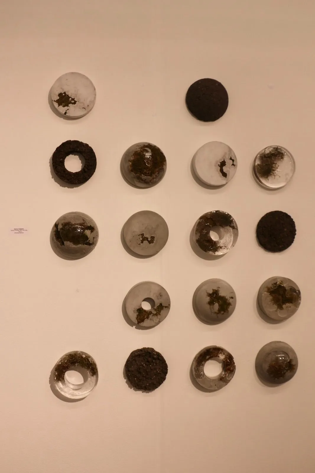 Grid of circular sculptural forms with organic, rust-like textures in muted tones on a white wall.