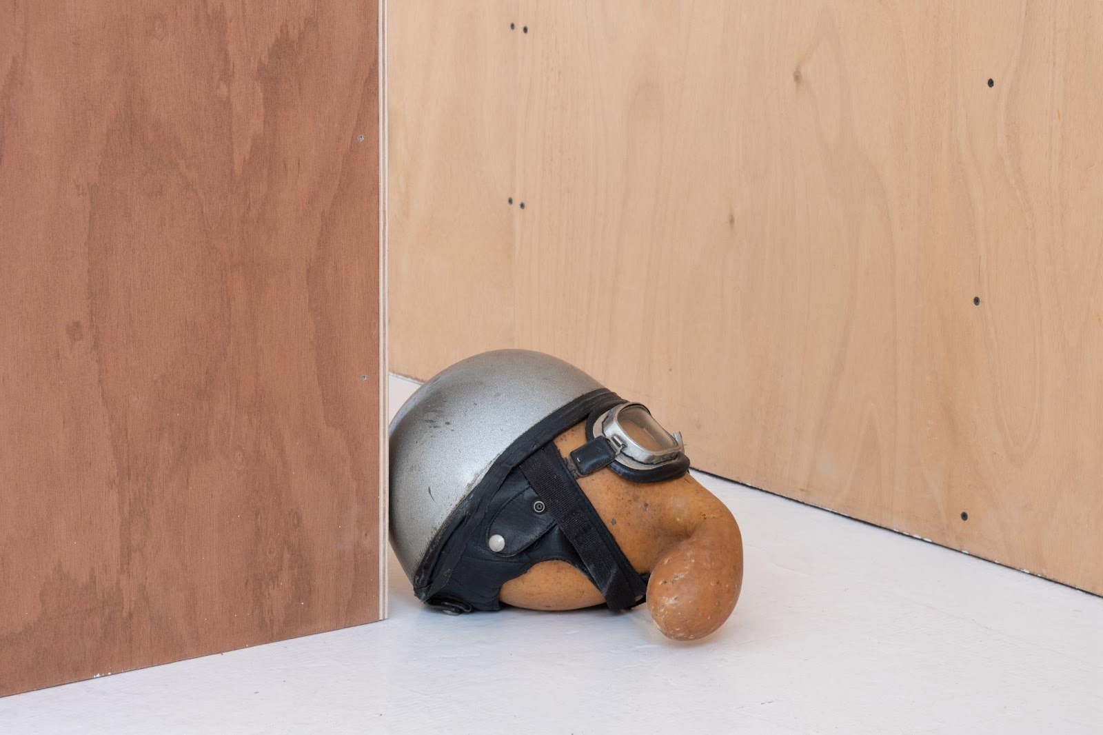 Mixed media sculpture in which a helmet and goggles are placed on a gourd, against white flooring and wooden walls.