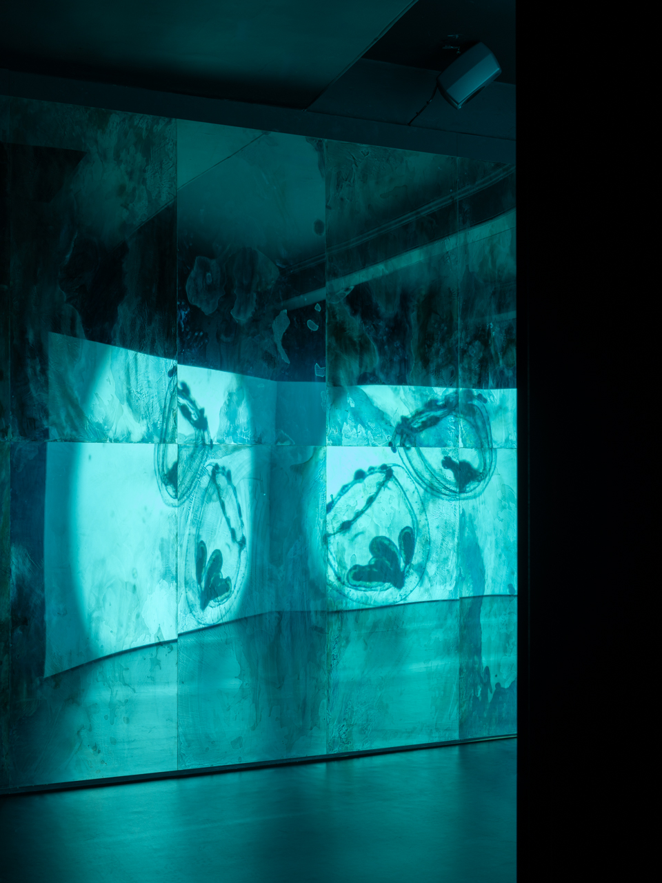 Blue-green immersive projection installation with abstract organic imagery.