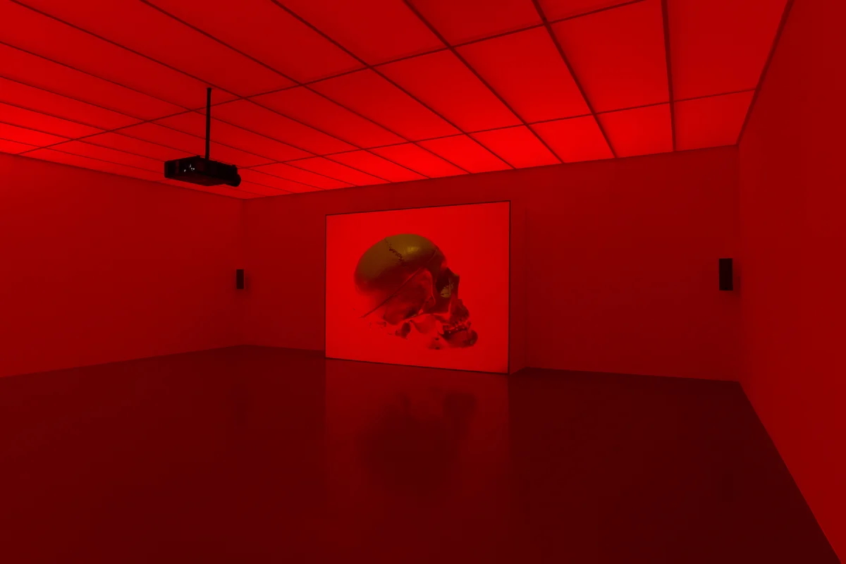 Installation view of a red-saturated gallery room with a projected image of a human skull on the far wall, ceiling lit entirely in red.