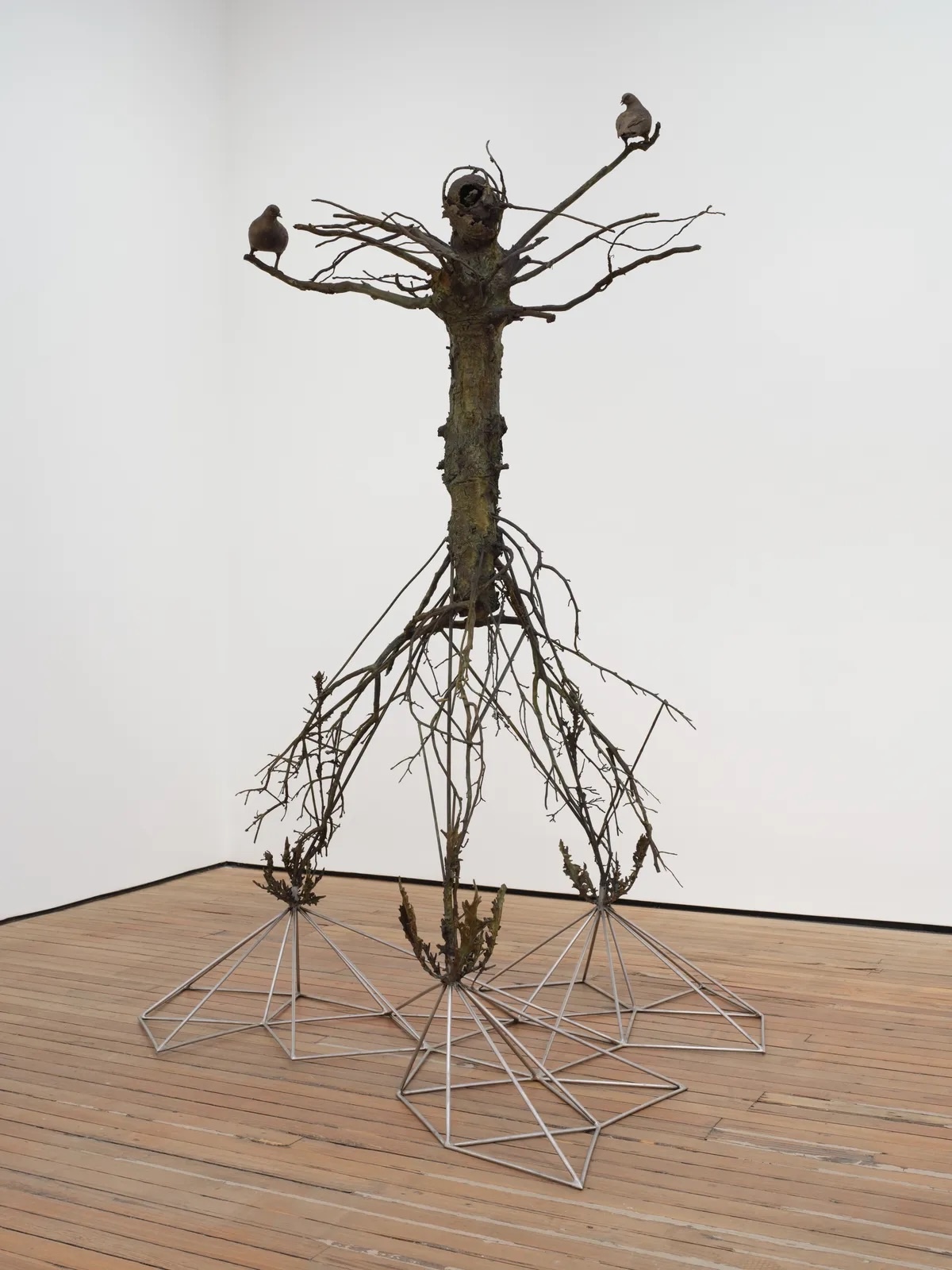 Sculpture of a gnarled tree-like figure with a bronze trunk and bare branching limbs, two small birds perched at the top, and a tangle of root-like branches below supported by an angular wire-frame armature, installed on a wooden gallery floor.