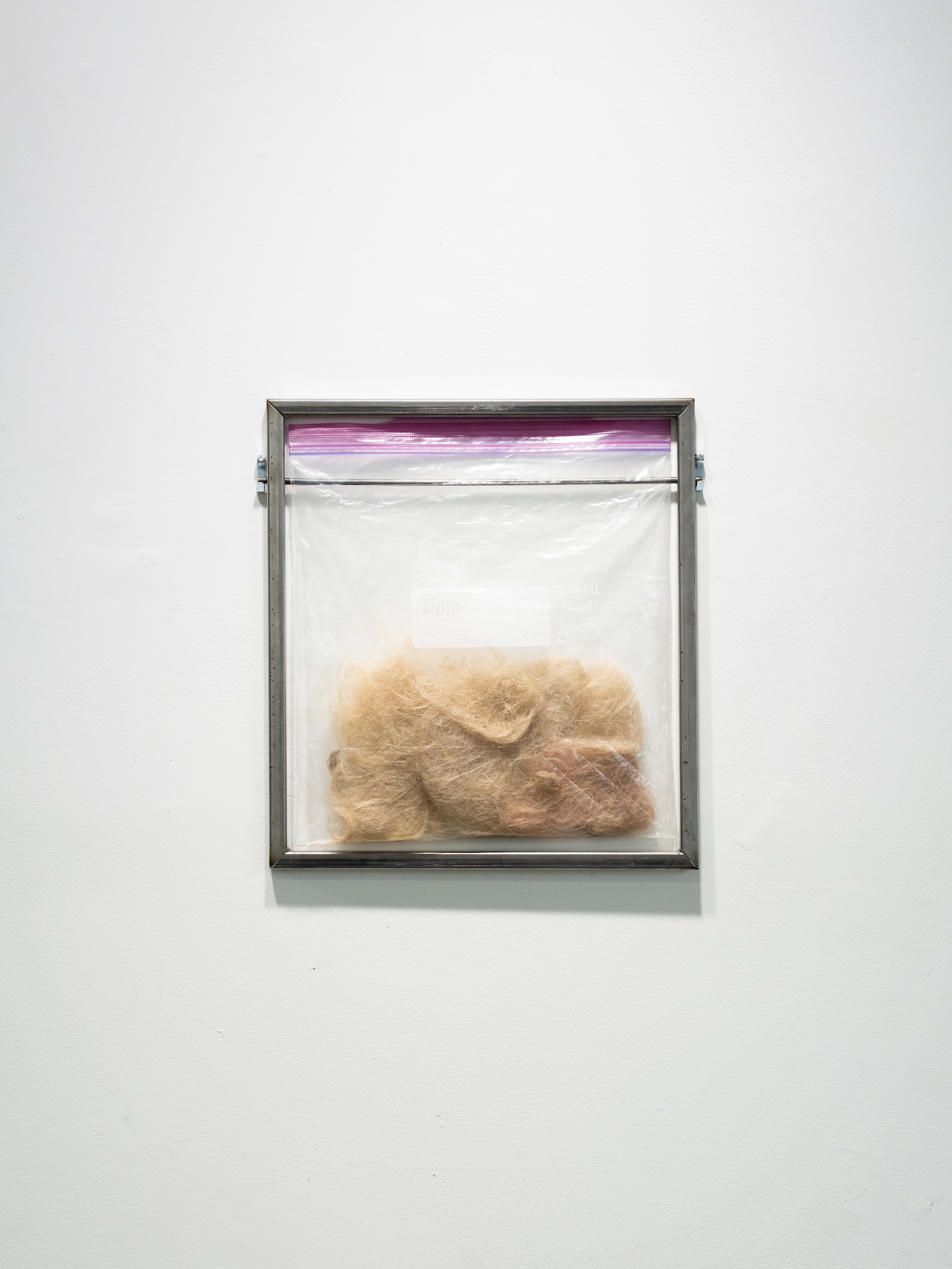 Framed wall piece featuring a clear ziplock bag mounted in a metal frame, containing a mass of tan, hair-like fibers.