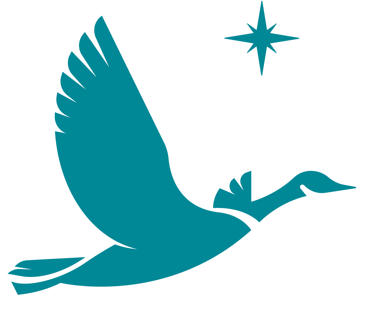 Teal silhouette of a flying goose with a four-pointed star above it.