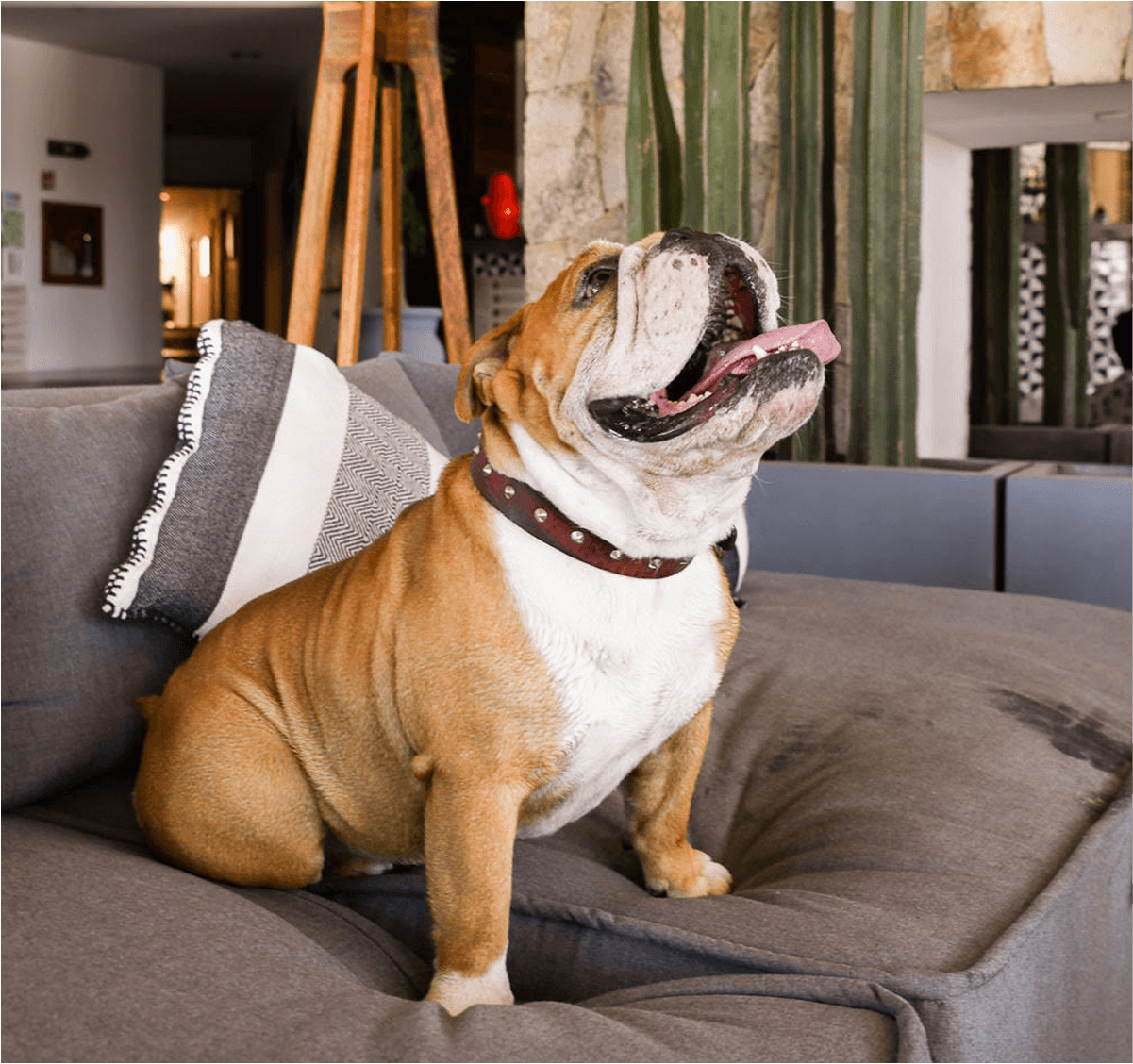 Fila de sillones blancos acolchados con toallas enrolladas y sombrillas junto a una piscina exterior transparente, al lado de una colorida pared con un mural abstracto.