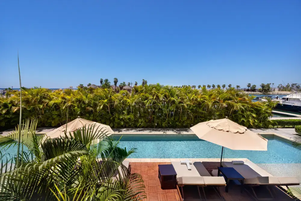 Zona de piscina exterior con tumbonas y sombrillas de color beige, rodeada de palmeras y con vistas a un puerto deportivo con barcos bajo un cielo azul claro.