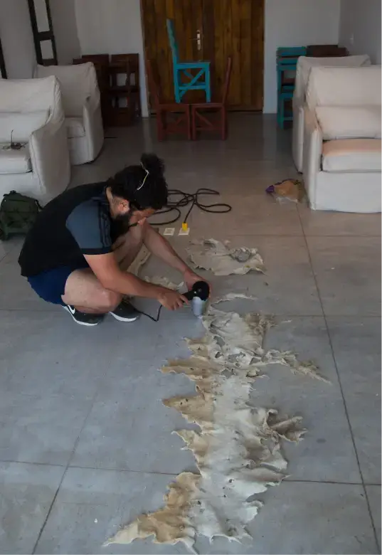 Hombre agachado en un suelo de baldosas utilizando un secador de pelo sobre grandes pieles de animales extendidas en una habitación con sofás blancos y sillas de madera.