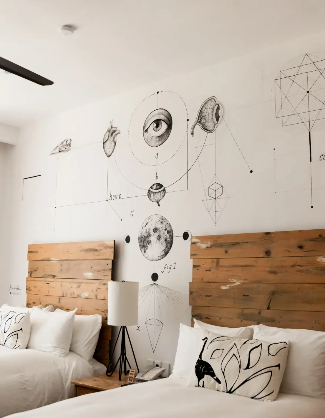 Dos camas con cabeceros rústicos de madera en un dormitorio con un mural de dibujos anatómicos y geométricos sobre las camas.
