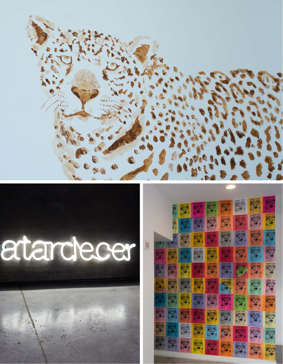 Collage of three images: top is a brown spotted leopard painting on a white wall, bottom left is a neon sign reading 'atardecer' illuminating a concrete floor, and bottom right is a wall covered with colorful posters of a dog and the text 'Have you seen him?'