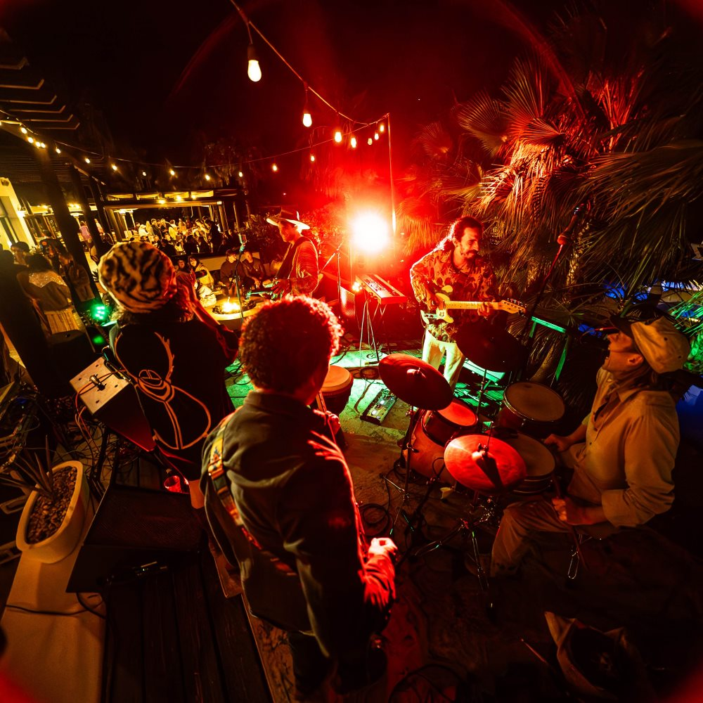 Live band playing guitar, drums, and singing on an outdoor stage at night with string lights and audience in the background.