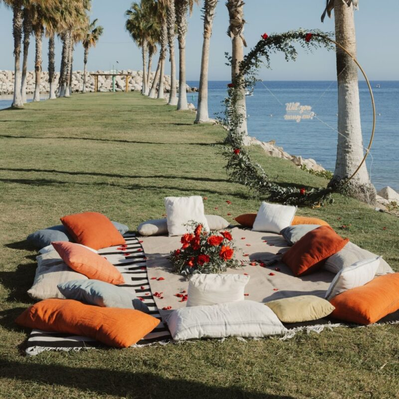 Outdoor seaside proposal setup with a circular arrangement of cushions around a blanket, red flowers in the center, and a decorative hoop with greenery and a 'Will you marry me?' sign hanging between palm trees.