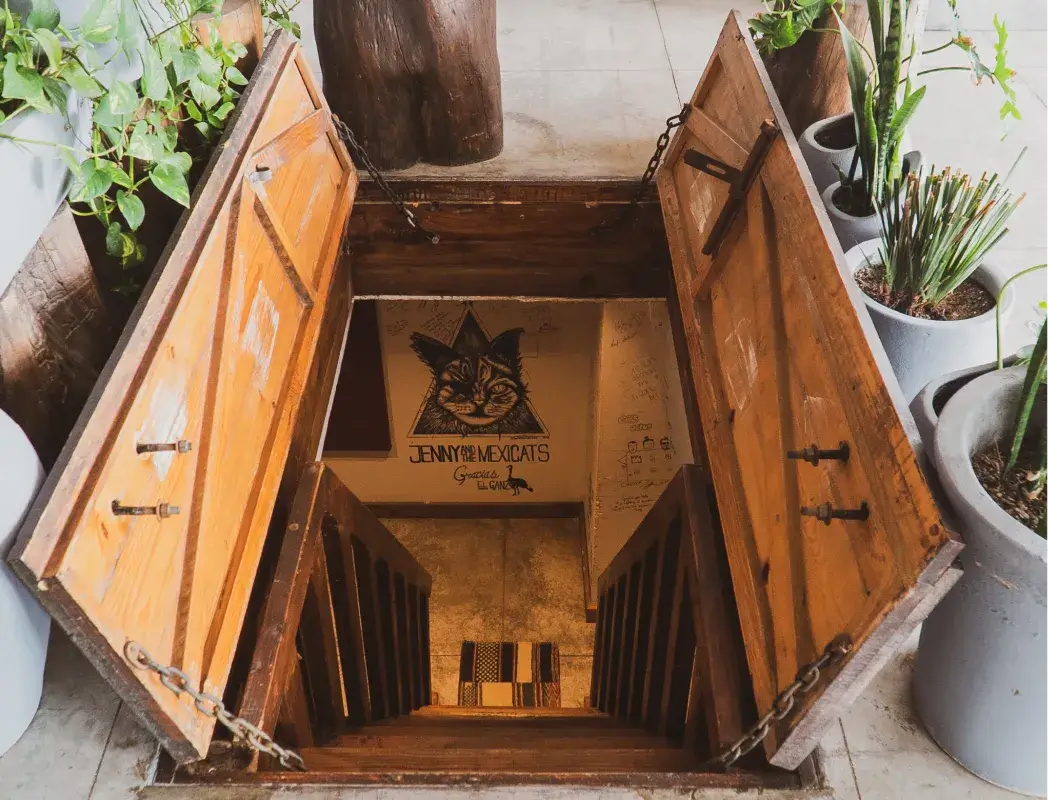 Open wooden trapdoor with stairs leading down to a basement featuring a mural of a cat's face and the text 'Jenny and the Mexicats'.