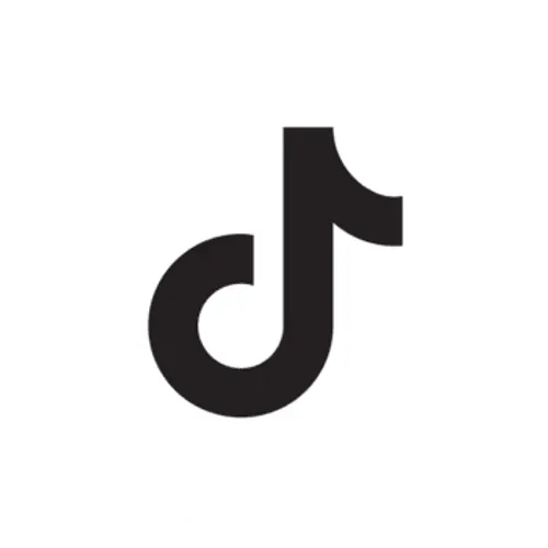 TikTok Icon