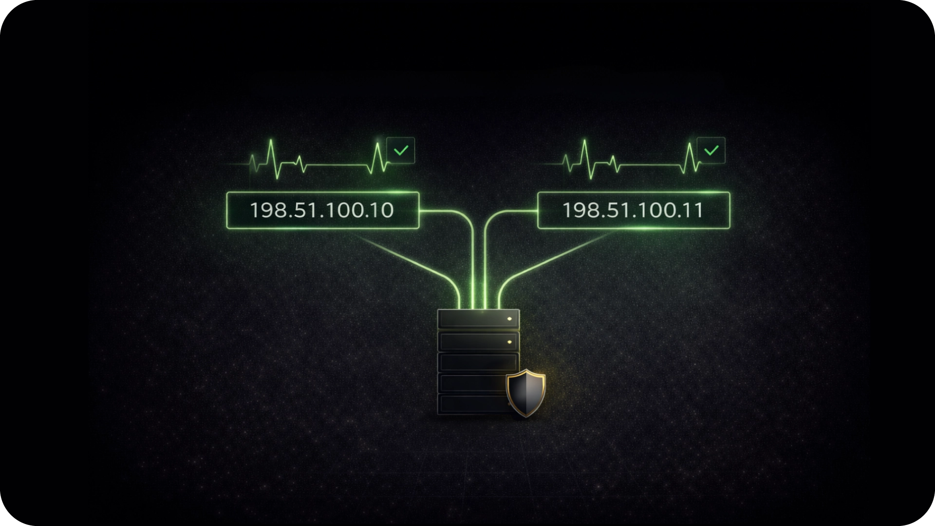 Network server connected to two IP addresses 198.51.100.10 and 198.51.100.11, each with a green heartbeat line and a checkmark, symbolizing active and secure connections.