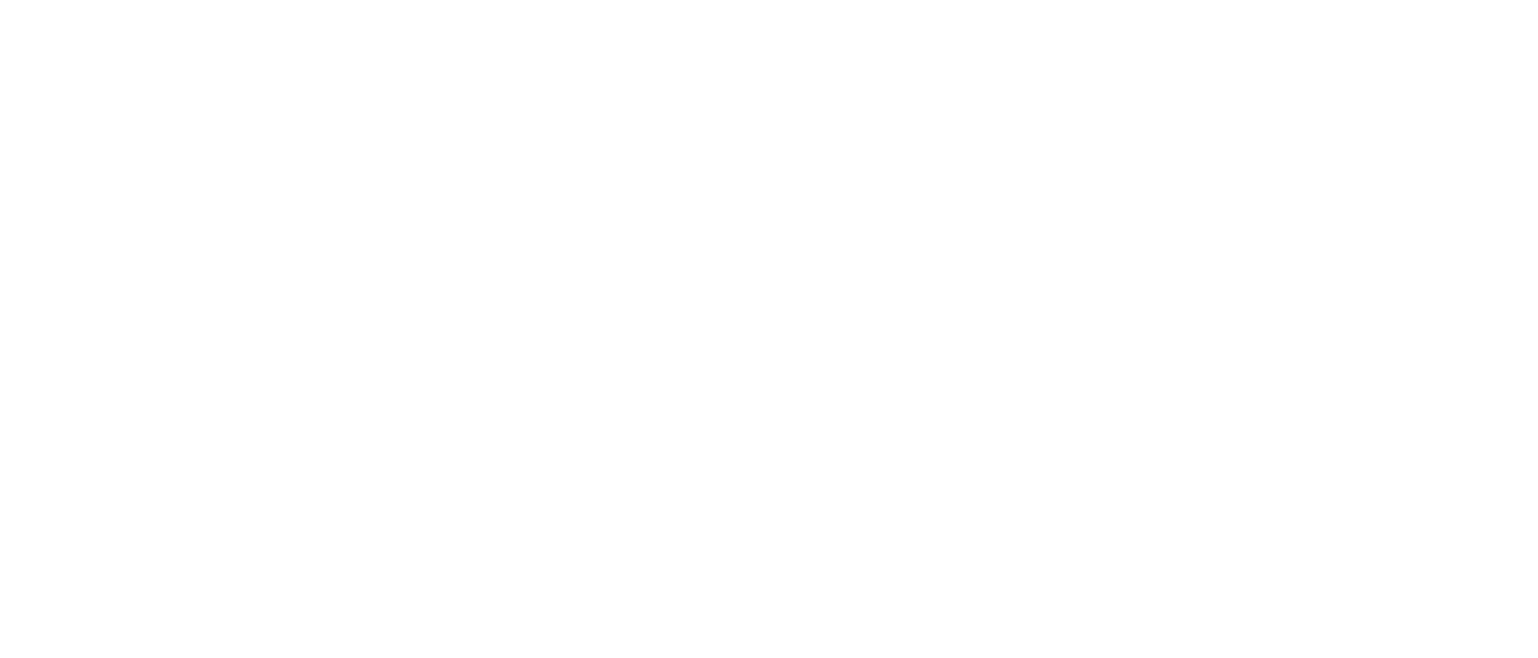 Logo of Flow Sports Medicine featuring a dynamic human figure next to the text 'Flow Sports Medicine'.