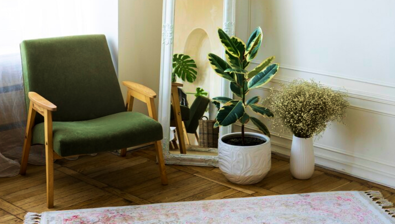 Fresh and inviting indoor space