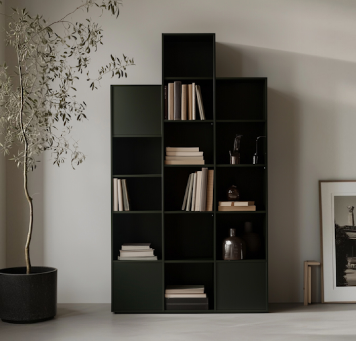Modern Minimalist Bookshelf