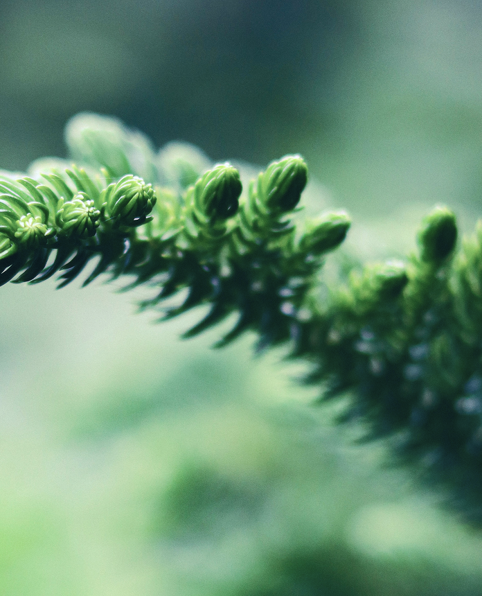 Engagement Background Image